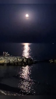 716.Урожайная луна🌕.
От чего избавиться в это полнолуние?