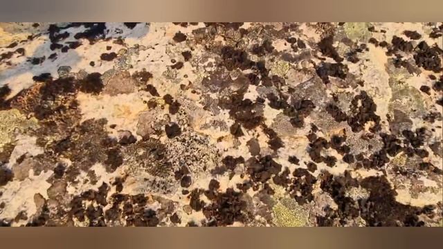 Путешествие по полуострова Средний и Рыбачий