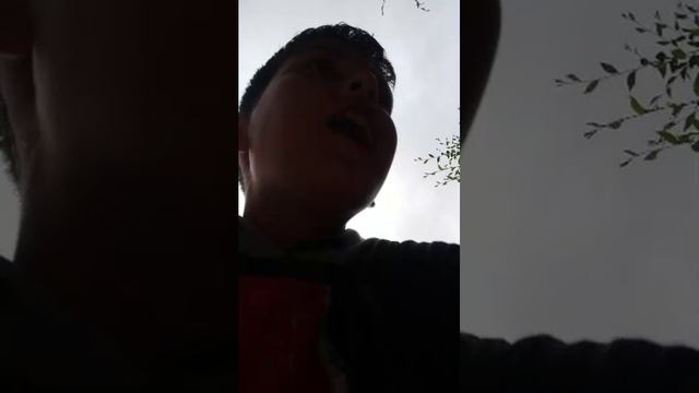 играем в футбол