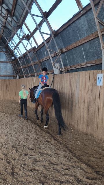 Даша шагает с Костей и Аквилоном в манеже.