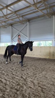 Оксана Новикова и Дольче Вита, выездные старты, Нижегородский конный праздник, гимнастика разминка