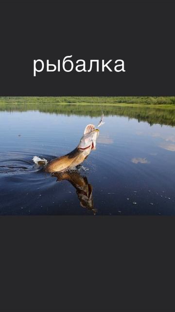 рыбалка