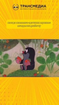 у вас есть такой коллега?