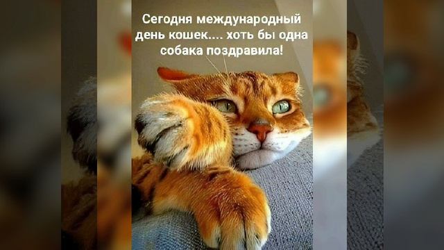 VID_20250809_005108_736.mp4