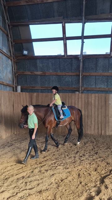 Даша шагает с Ариной на Аквилоне в манеже.