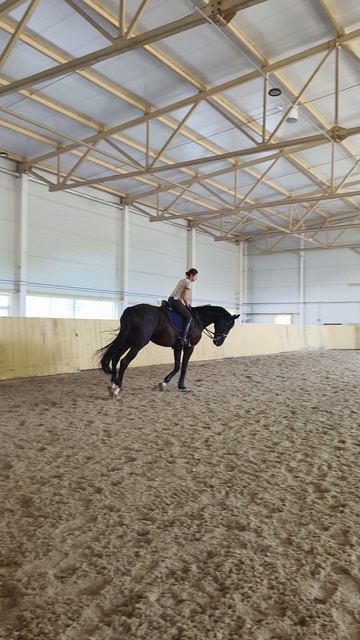 Оксана Новикова и Дольче Вита, выездные старты, Нижегородский конный праздник, гимнастирование