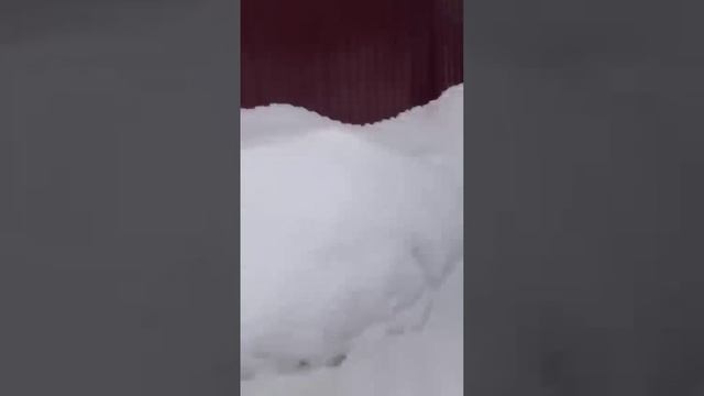 Скоро начнётся лето! Возвращение с СВО.