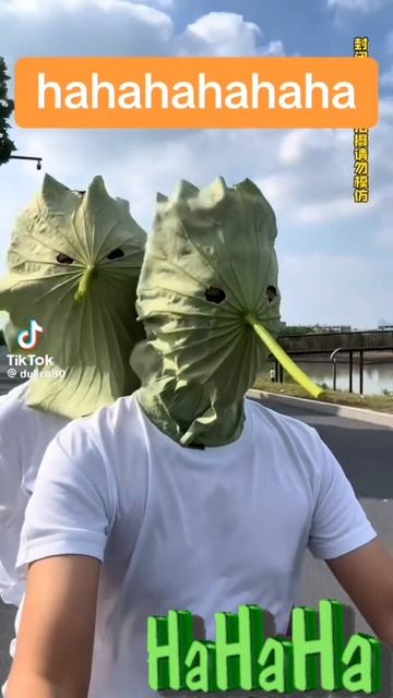 🤣🤣🤣🤣🤣🤣