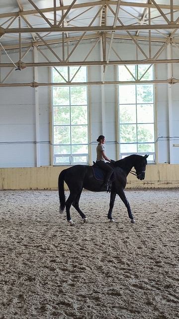 Оксана Новикова и Дольче Вита, выездные старты, Нижегородский конный праздник, осаживание.