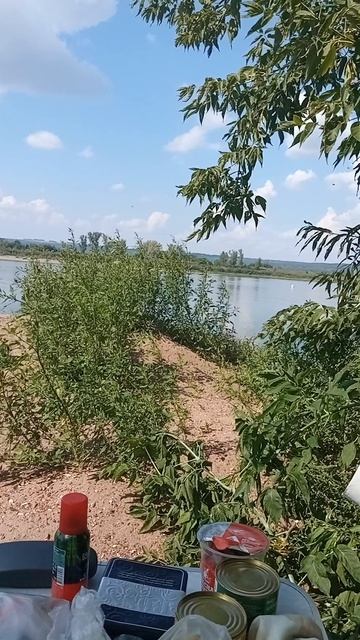 Выезд на отдых