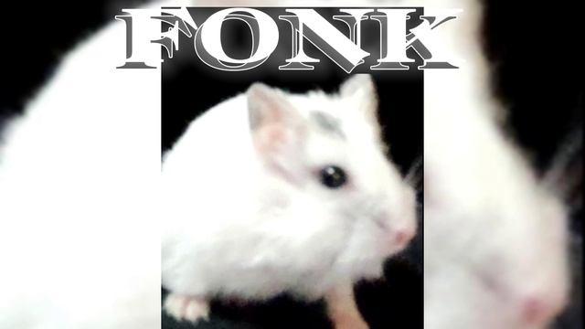 Gem No Pique (FONK)