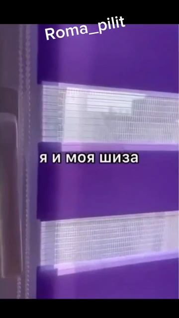 #шиза #жиза #юмор #смех