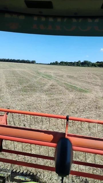 09 августа 2025