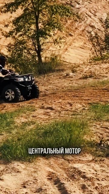 Электро-монстры бездорожья