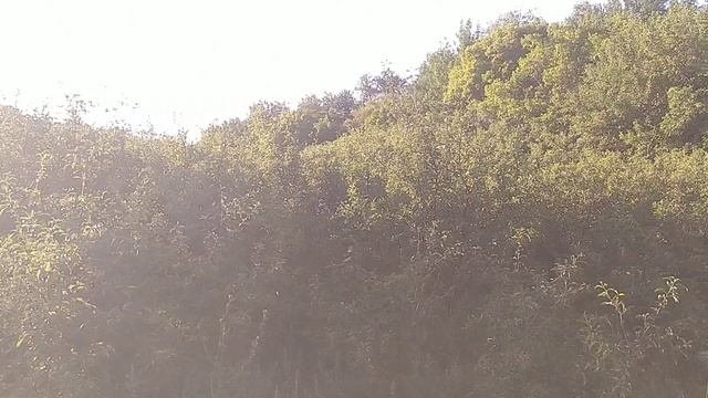 Мой влог. Сельские прогулки