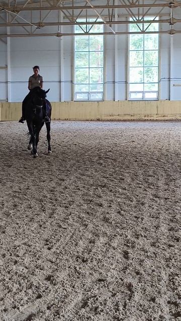 Оксана Новикова и Дольче Вита, выездные старты, Нижегородский конный праздник, принимание.