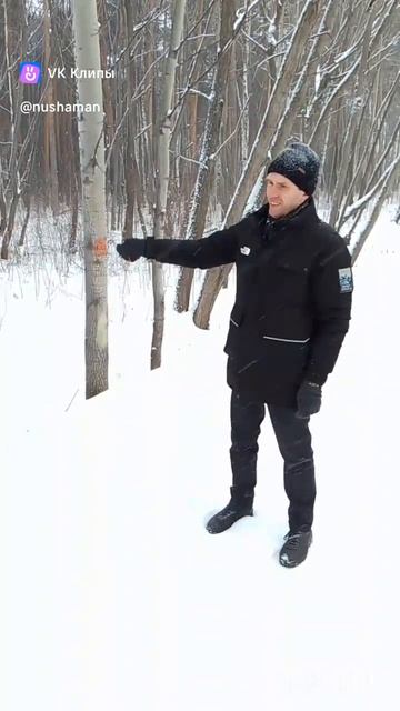 чуринга зимой