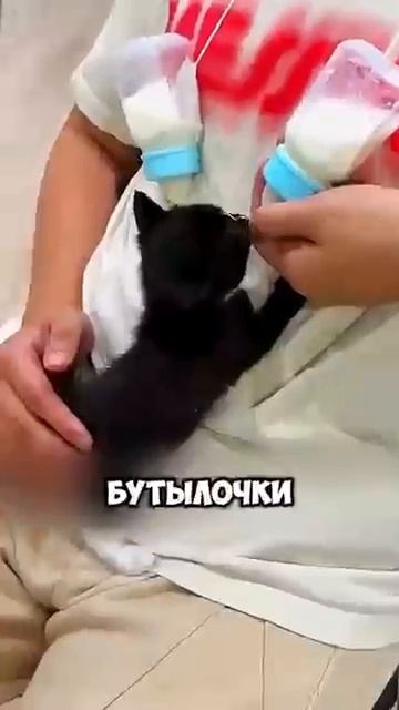 Забыла закрыть окно машины