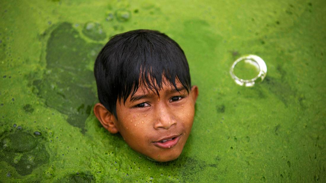 Dota2 Стрим! Mithrandir Мьюзик