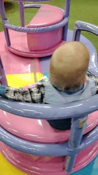 Круговорот жизни#Семья