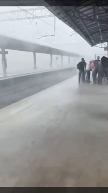 Ветер с поля дул