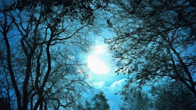 Гармония.mp4