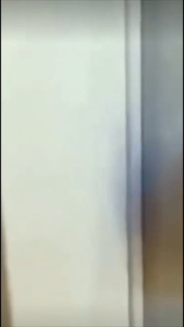 Смешные коты #71-6