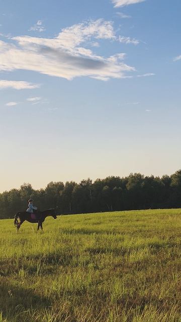 Ульяна и Флейта, галоп в поле.
