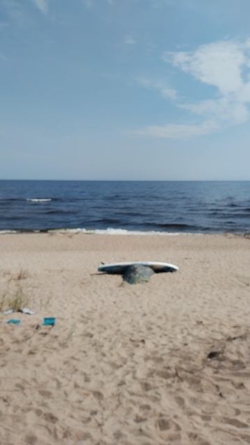 Кот турист спит в палатке, 12 июля 2025.