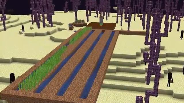 это мотыга с, 1000 удача