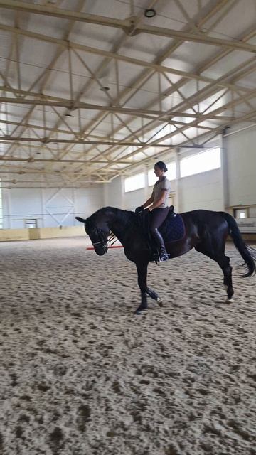 Оксана Новикова и Дольче Вита выездные старты Нижегородский конный праздник, галоп после гимнастики