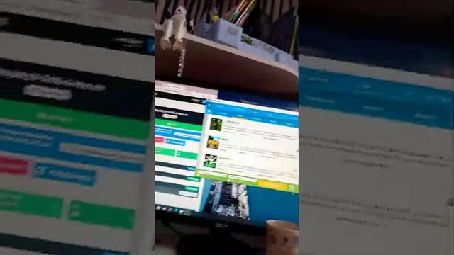 пытаюсь зайти на свой сервер и поиграть с вами
