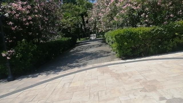 Парк Ривьера. Гуляю