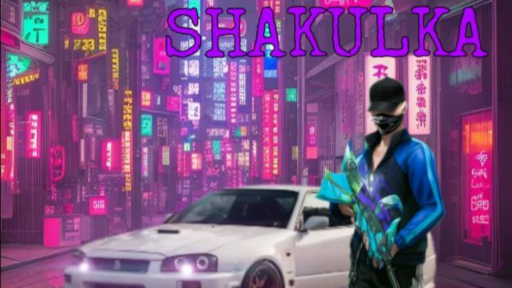 SNS первое видео первая история