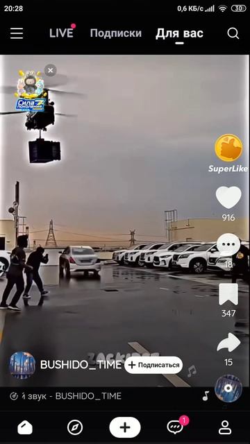 ропав