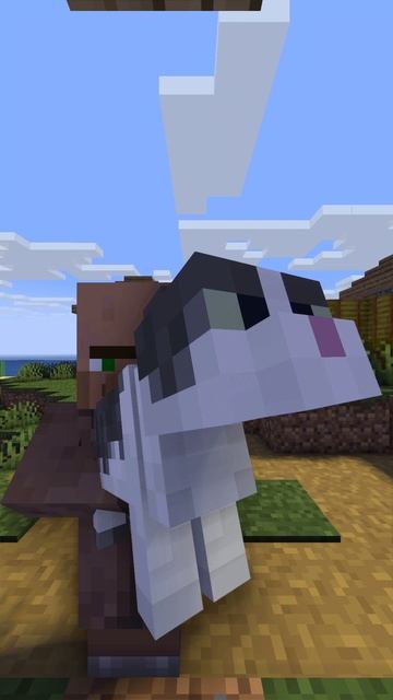 DOORBELL Камера Кошка