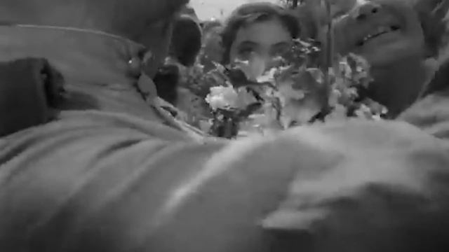 История фильма «Летят журавли» (1957 г.)