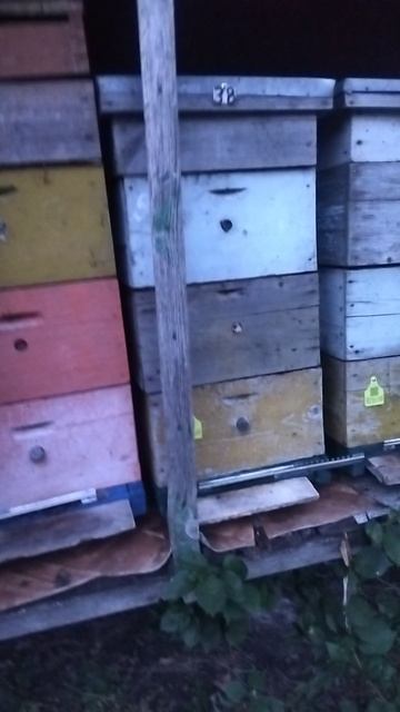 И меня посчетали