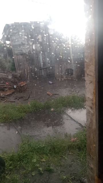 Погода😢