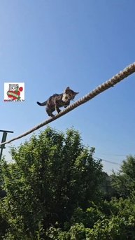 Вербуся Баксика ревнует 😻❤️🐶