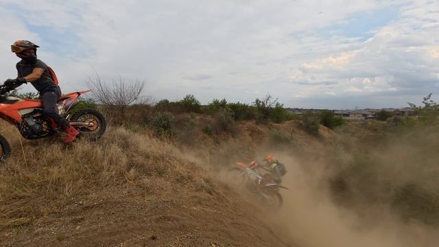 09.08.2025 Лисья