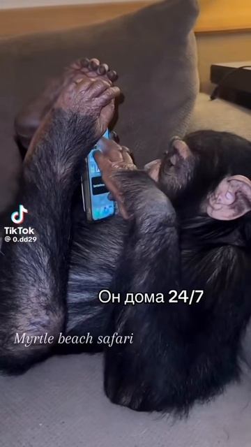 🤣🤣🤣🤣🤣🤣🤣🤣