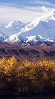 Сибирь #Аляска#не валяй#дурака, Америка!