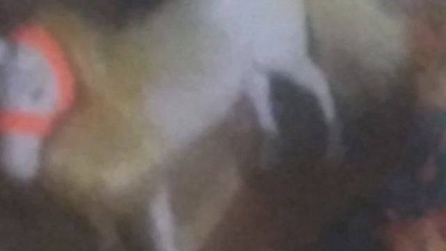 Вторая часть изменения в КСК