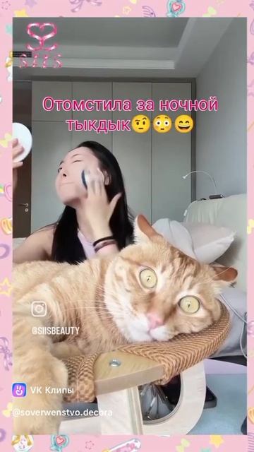 Отомстила за ночной тыкдык