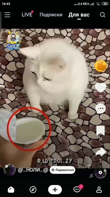 ю