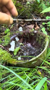 НАШЛИ ПОД СТАРЫМ ДЕРЕВОМ В ЛЕСУ! #metaldetecting #лесной #коп #metaldetector