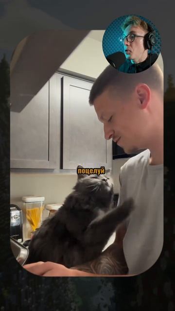 Мой кот vs Пылесос! 🤣💨 #котики #смешныекотики #фейл #животные #вирус #угар #приколытоп #смехдосле