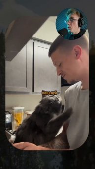 Мой кот vs Пылесос! 🤣💨 #котики #смешныекотики #фейл #животные #вирус #угар #приколытоп #смехдосле