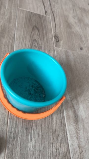 Шишка в песке